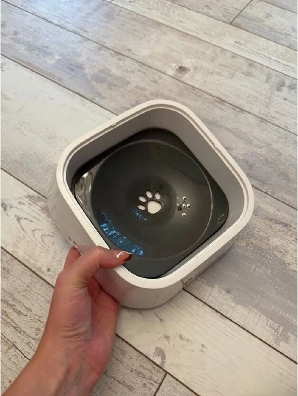 LumoLeaf No Spill Dog Water Bowl Floating Disk 35 oz